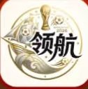 领航国际